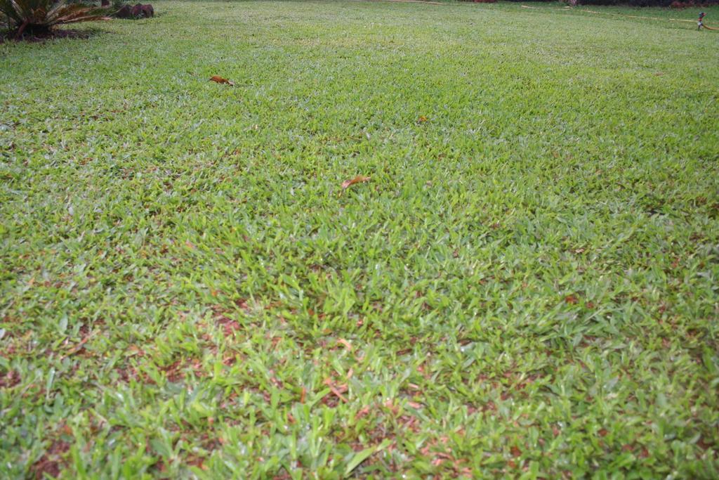 Hotel Ferreira Resort Lonavala Ngoại thất bức ảnh