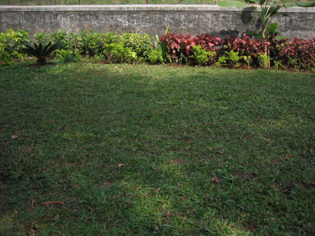 Hotel Ferreira Resort Lonavala Ngoại thất bức ảnh